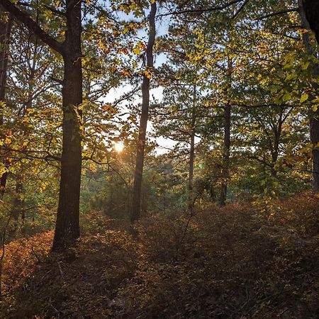 Loblolly Pines #3 Adventure Aframe Βίλα Eureka Springs Εξωτερικό φωτογραφία