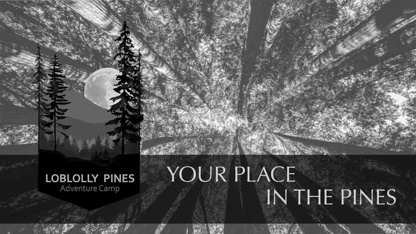 Loblolly Pines #3 Adventure Aframe Βίλα Eureka Springs Εξωτερικό φωτογραφία